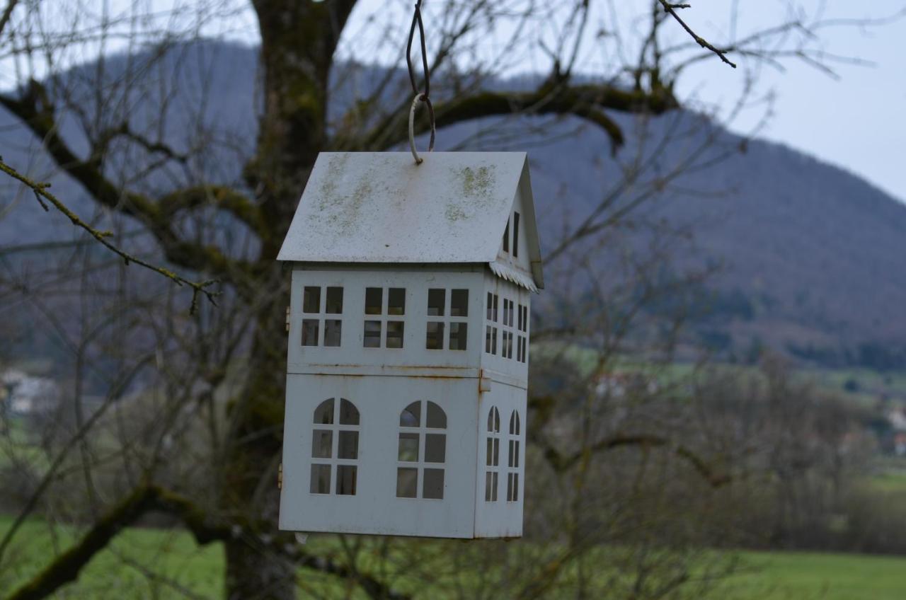 Apartma Nika Planina  Exterior photo