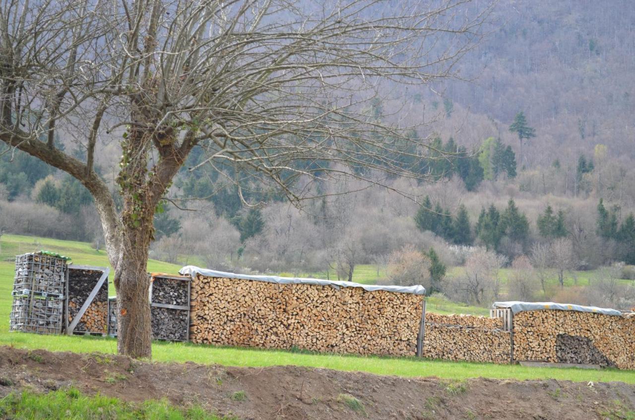 Apartma Nika Planina  Exterior photo