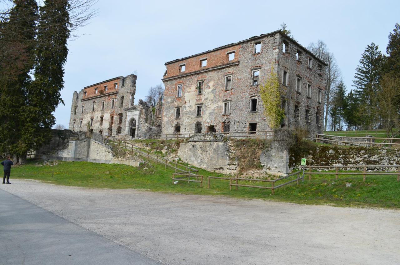 Apartma Nika Planina  Exterior photo